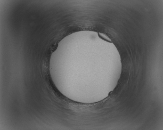 X0000073450040200608181250