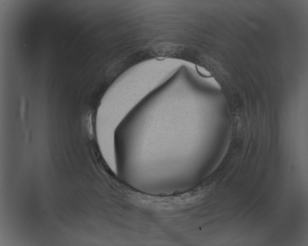 X0000073450042200608181250