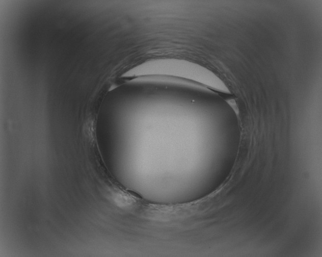 X0000073450045200608181250