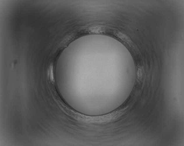 X0000073450046200608181250