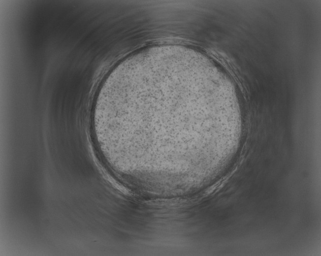 X0000073450049200608181249