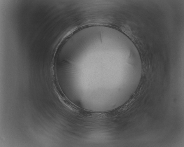 X0000073450050200608181249