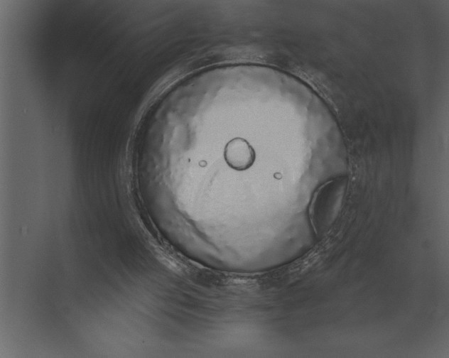 X0000073450053200608181249