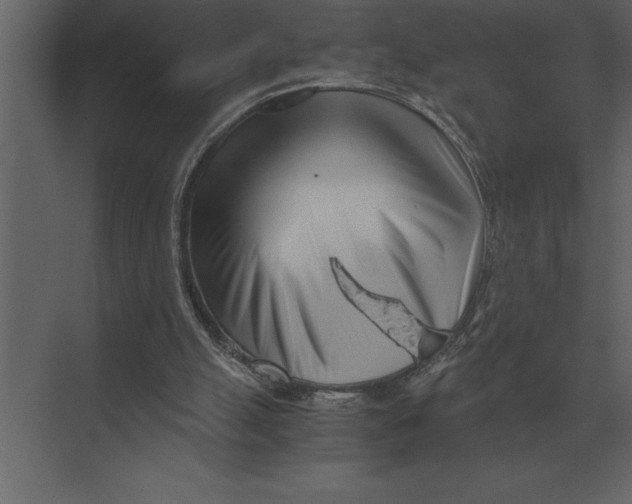 X0000073450055200608181249