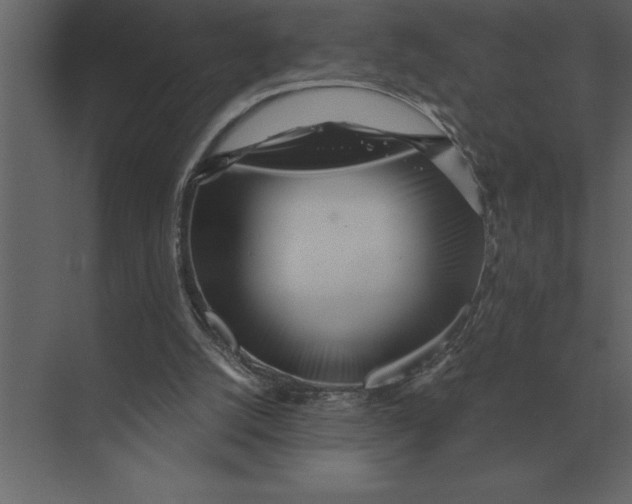 X0000073450056200608181249