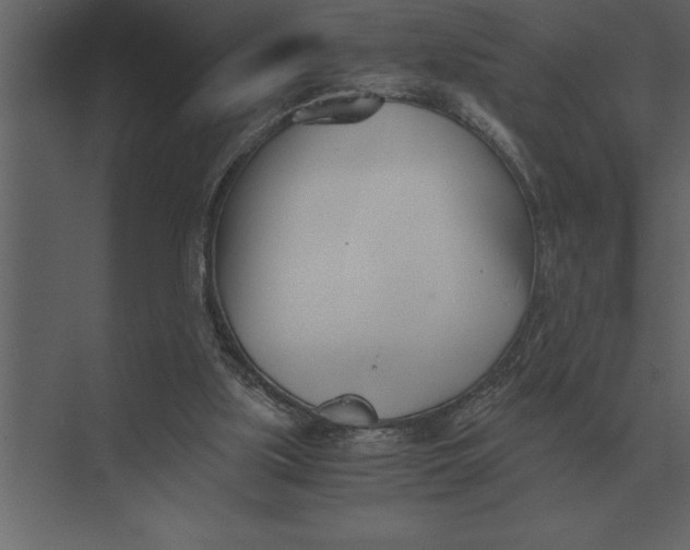 X0000073450059200608181249