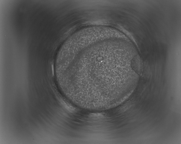 X0000073450061200608181249