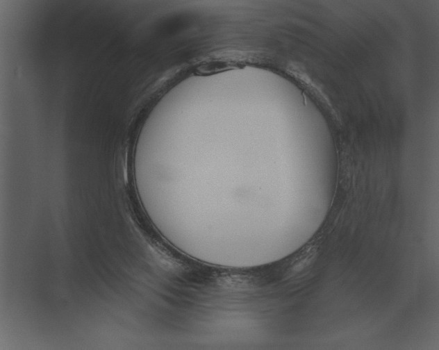 X0000073450062200608181249