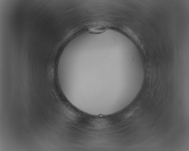 X0000073450063200608181249