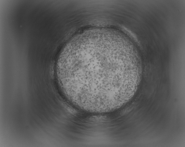 X0000073450065200608181249