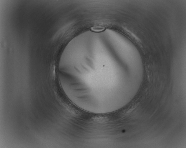 X0000073450067200608181249