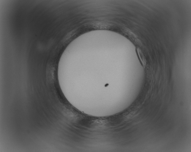 X0000073450071200608181249