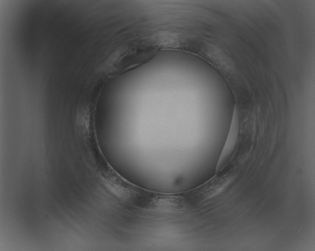 X0000073450072200608181249