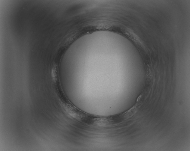 X0000073450074200608181249