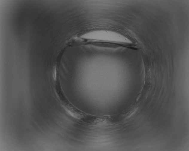 X0000073450076200608181249