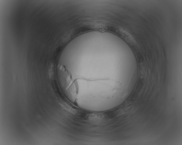 X0000073450077200608181249