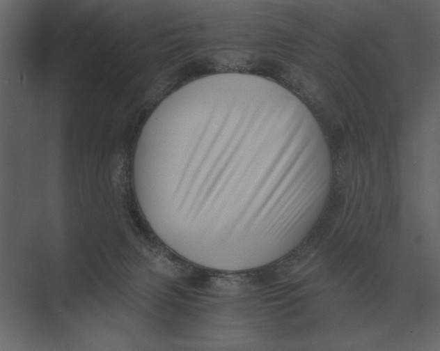 X0000073450079200608181249