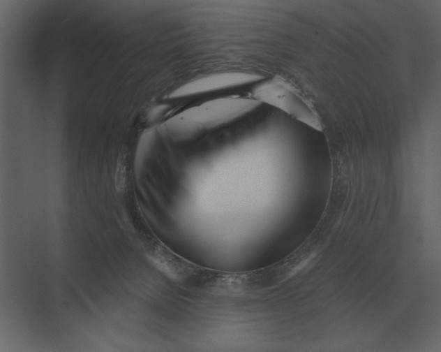 X0000073450080200608181249