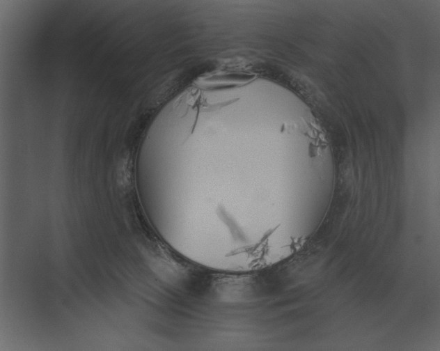 X0000073450081200608181249