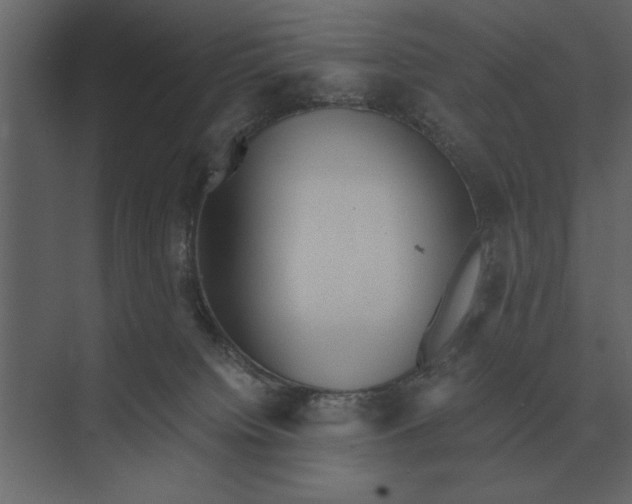 X0000073450084200608181250