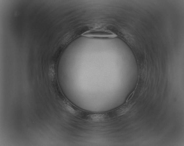 X0000073450085200608181250