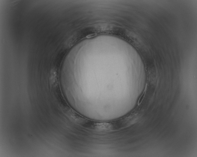 X0000073450087200608181250