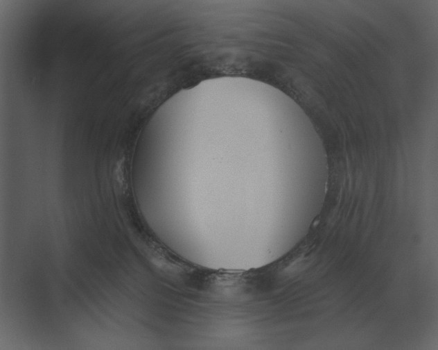 X0000073450088200608181250