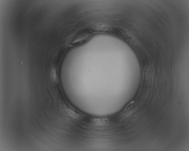 X0000073450089200608181250