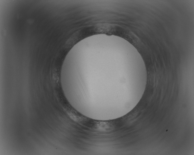 X0000073450091200608181250