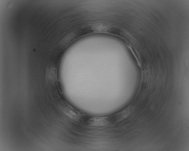 X0000073450093200608181250