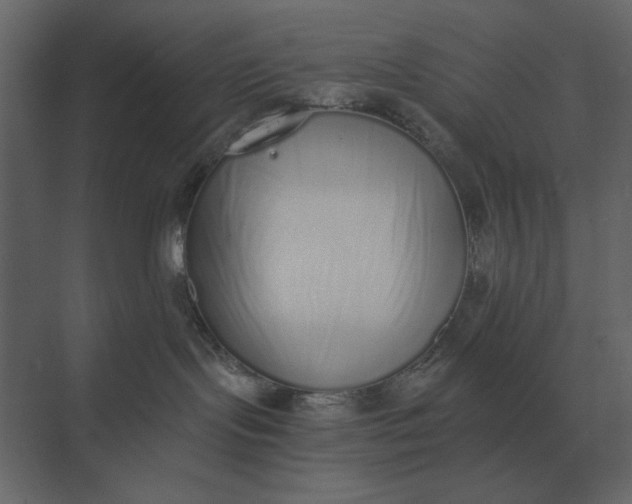 X0000073450095200608181250