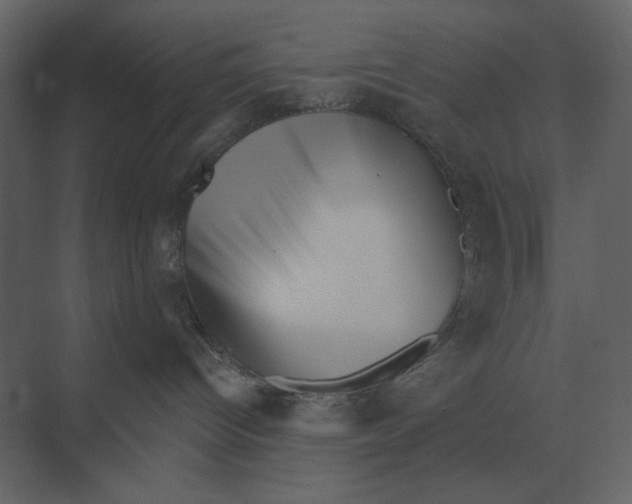 X0000073450096200608181250