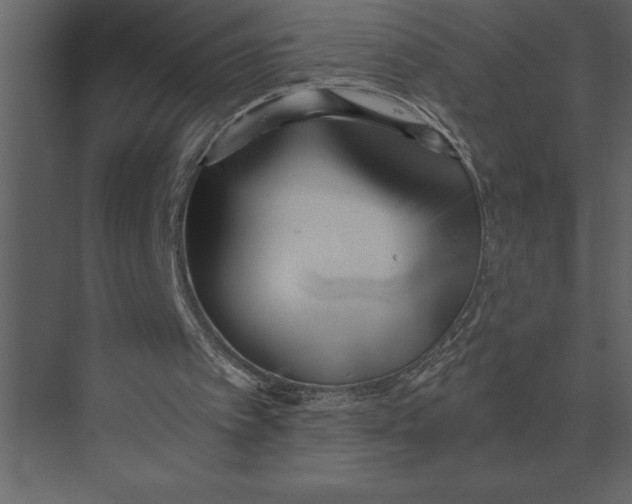 X0000073450097200608181249