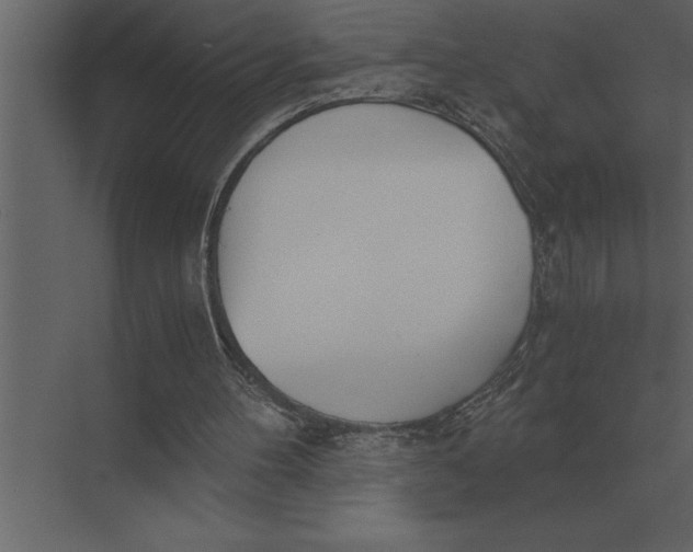 X0000073450100200608181249