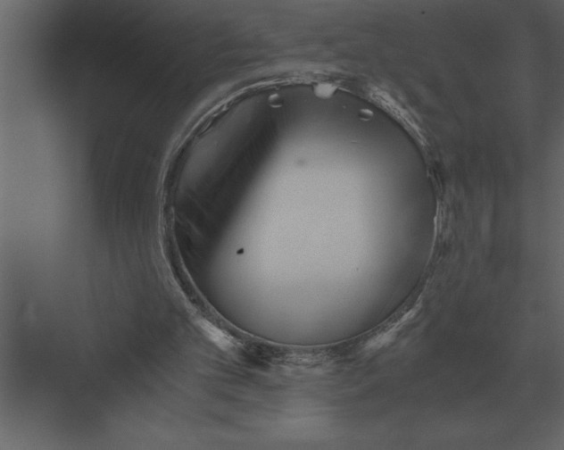 X0000073450101200608181249