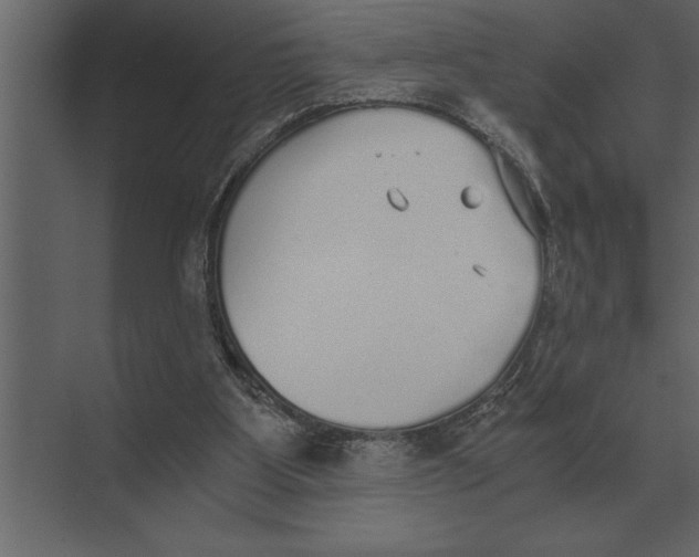 X0000073450107200608181249