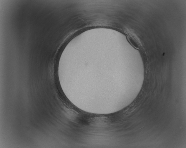 X0000073450108200608181249