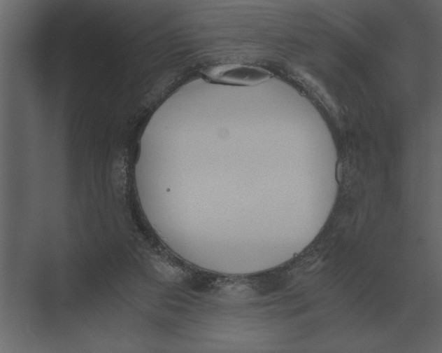 X0000073450113200608181249