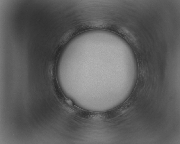 X0000073450115200608181249