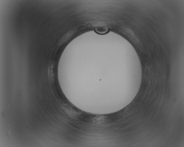 X0000073450116200608181249