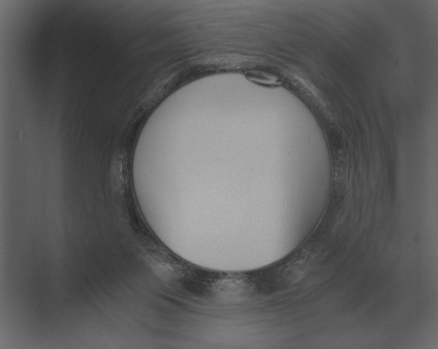 X0000073450119200608181249