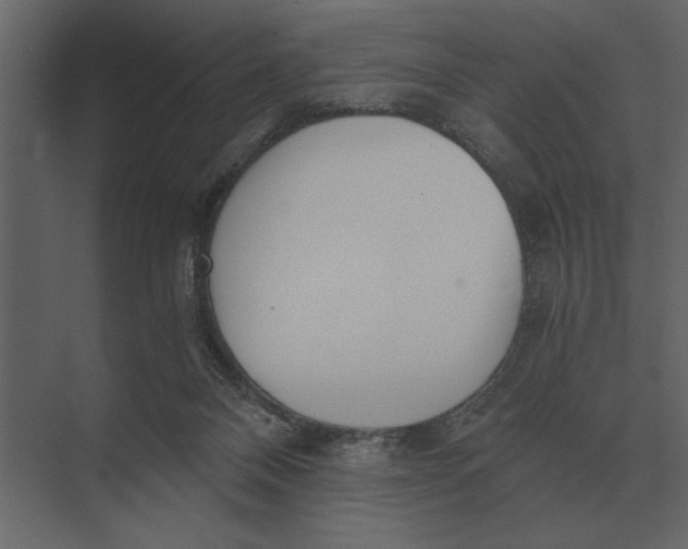 X0000073450120200608181249