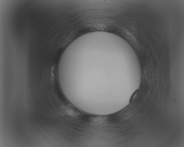 X0000073450122200608181249