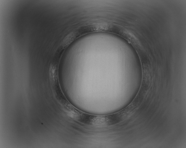 X0000073450123200608181249