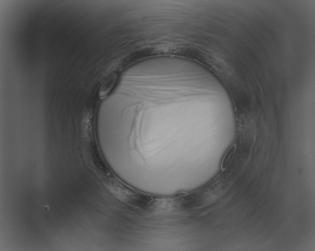 X0000073450127200608181248