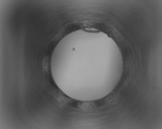 X0000073450129200608181248