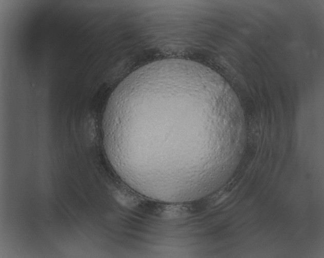 X0000073450130200608181248