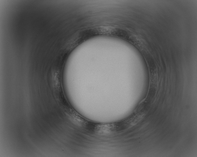 X0000073450131200608181248