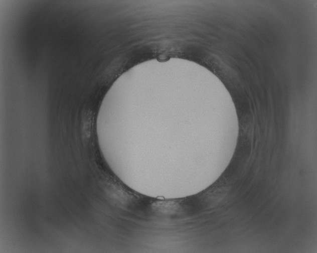 X0000073450133200608181248