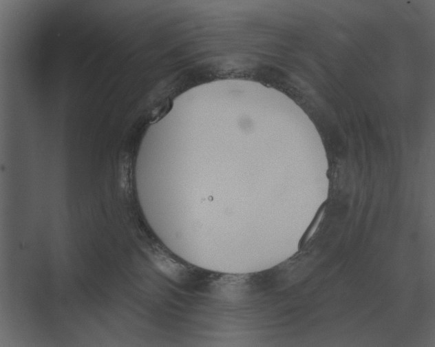 X0000073450138200608181248